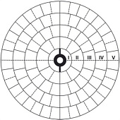 ������ ���������� 