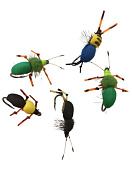 ����� �������� (������ ������) ���