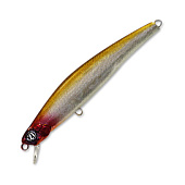  PONTOON 21 P21-PSM90F-SR-A15