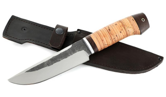 ��� ����������� ��������� ����� 95�18