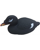 Чучело Турпан горбоносый-Селезень Чучело Турпан горбоносый-Селезень