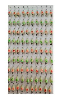 �������� ������.  �20 ��. 6