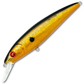  PONTOON 21 P21-BON-105F-SR-001