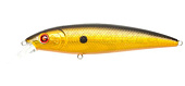  PONTOON 21, BON-75SP SR-001