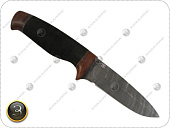 ��� ����� �9 ����� �10� ���������, ���������