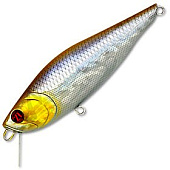  PONTOON 21 P21-KAL-82SP-SR-A30