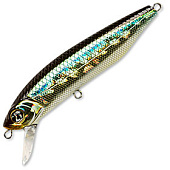  PONTOON 21 P21-DXT-93S-SR-005