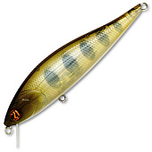  PONTOON 21 P21-BAM-102F-SR-351
