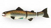  Salmonid Minnow 3-     1543.1,0-4,0 EG-154S#969T