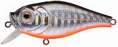  Strike Pro Aquamax Shad 50  5 5 . 0,1 - 0,4 JL-128F#A70-713