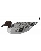 ������ ����������-��������