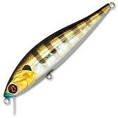  PONTOON 21 P21-BAM-102F-SR-007