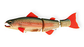  Salmonid Minnow 3-    1543 .1,0-4,0 EG-154S#965F