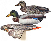 Чучело Кряква комплект из 6-ти полнораз. склад. NRA-FUD Чучело Кряква комплект из 6-ти полнораз. склад. NRA-FUD