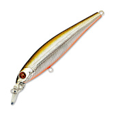  PONTOON 21 P21-SAU95F-SR-R60