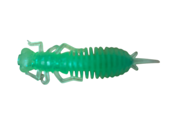 - LARVA 64 (. ) (. 8)