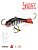  Lucky John BALTIC 6  . 60/12HRT 