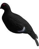 Чучело Тетерев Чучело Тетерев