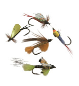 ����� �������� (������ ������) �������