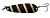  . DAIWA CRUSADER 7 Zebra 7