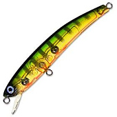  DUEL&YO-ZURI Pin's Minnow F196 TMPC . 50 2.