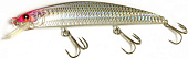  Scorana STRIDER MINNOW ., 110, 16, 0,5-1,0, .HPB strd110SP-HPB