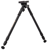 ����� Vanguard Equalizer 2 (�� �������)