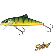  Salmo Skinner F 10/HP