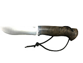 ��� �������� ����� ����� �12�� ������� ����. ���������� ����� ���������� 