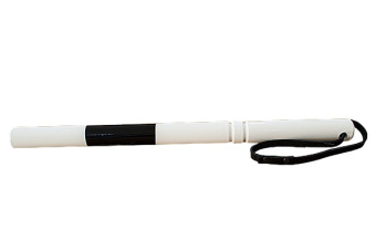 ���� �������� (������)