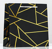 ����� ���������� �������� �����, � ���������, 22,5�23�10 �� (9568241)