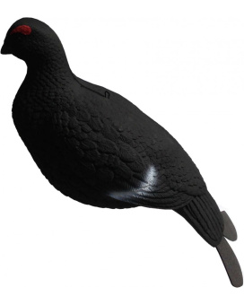 Чучело Тетерев Чучело Тетерев