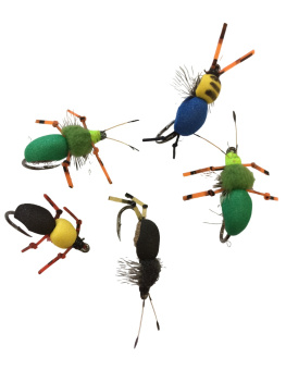 ����� �������� (������ ������) ���