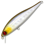  PONTOON 21 P21-BAM-102F-SR-A30