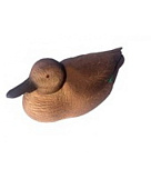 Чучело Чирок-трескунок-Утка Чучело Чирок-трескунок-Утка