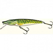  Salmo Pike 11F PE 110 .