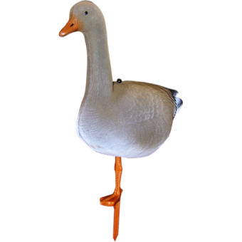 ������ ���� �������� (���) "����� ����" 1304�