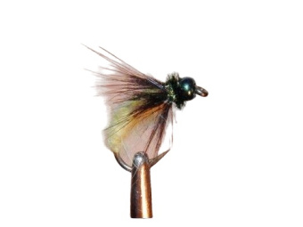 ����� ������ (������ ������) �������