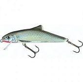  Salmo Skinner F 10/HGS