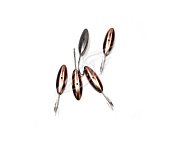 �������� ������ ���� �������, ��� 1,63 �, ���� �-���149