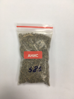 ������ ���� 15�.