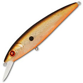  PONTOON 21 P21-BON-90SP-SR-009