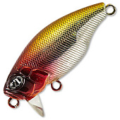  PONTOON 21 P21-PSC55F-SR-A15