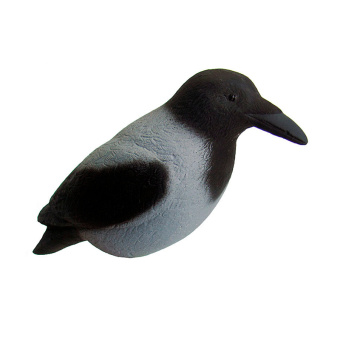 ������ ������ �����