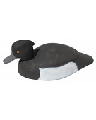 ������ �������� �������-�������� ������