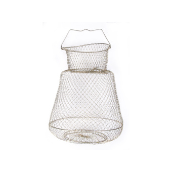 ����� Salmo ������.  30�� WB003818