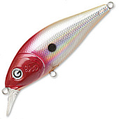  PONTOON 21 P21-GOSH-70SP-SR-002
