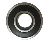 ��������� �������� ���� (6828) Tiger