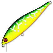  PONTOON 21 P21-BAM-92SP-SR-070