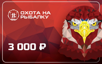 Подарочный сертификат 3000руб.  Подарочный сертификат 3000руб.